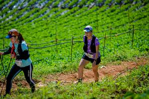 BIB: 3037
                            <button type="button" onclick="openModal(19164298)" class="btn btn-primary btn-sm float-right btn-popup" data-toggle="modal" data-target=".modal-high-quality">
                        <i class="fas fa-shopping-cart"></i> Add to Cart
                    </button>
                                            <button type="button" onclick="isThisMe(19164298, true)" class="btn btn-success btn-sm float-right btn-popup btn-isme hidden" data-toggle="tooltip" data-placement="bottom" title="นี่คือรูปของคุณใช่ไหม คลิกที่นี่เพื่อเอาเข้าอัลบั้ม">
                        <i class="fas fa-plus"></i> Add to album
                    </button>
                    <button type="button" onclick="isThisMe(19164298, false)" class="btn btn-warning btn-sm float-right btn-popup btn-isnotme hidden">
                        <i class="fas fa-ban"></i> Remove from album
                    </button>